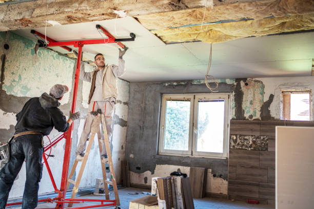 Best Insulation Maintenance and Repair in Millwood, WA