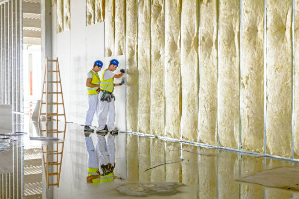 Best Insulation for Specific Applications in Millwood, WA